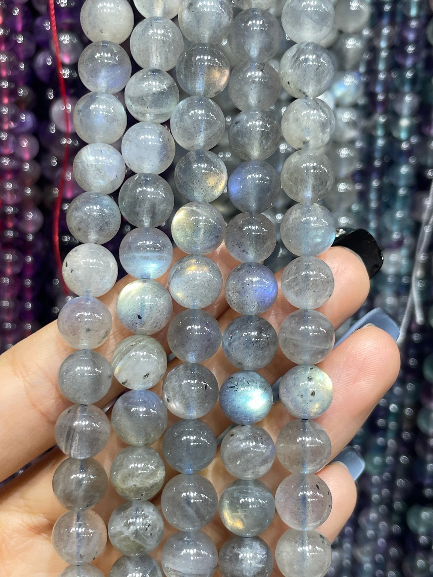 natural lab strand