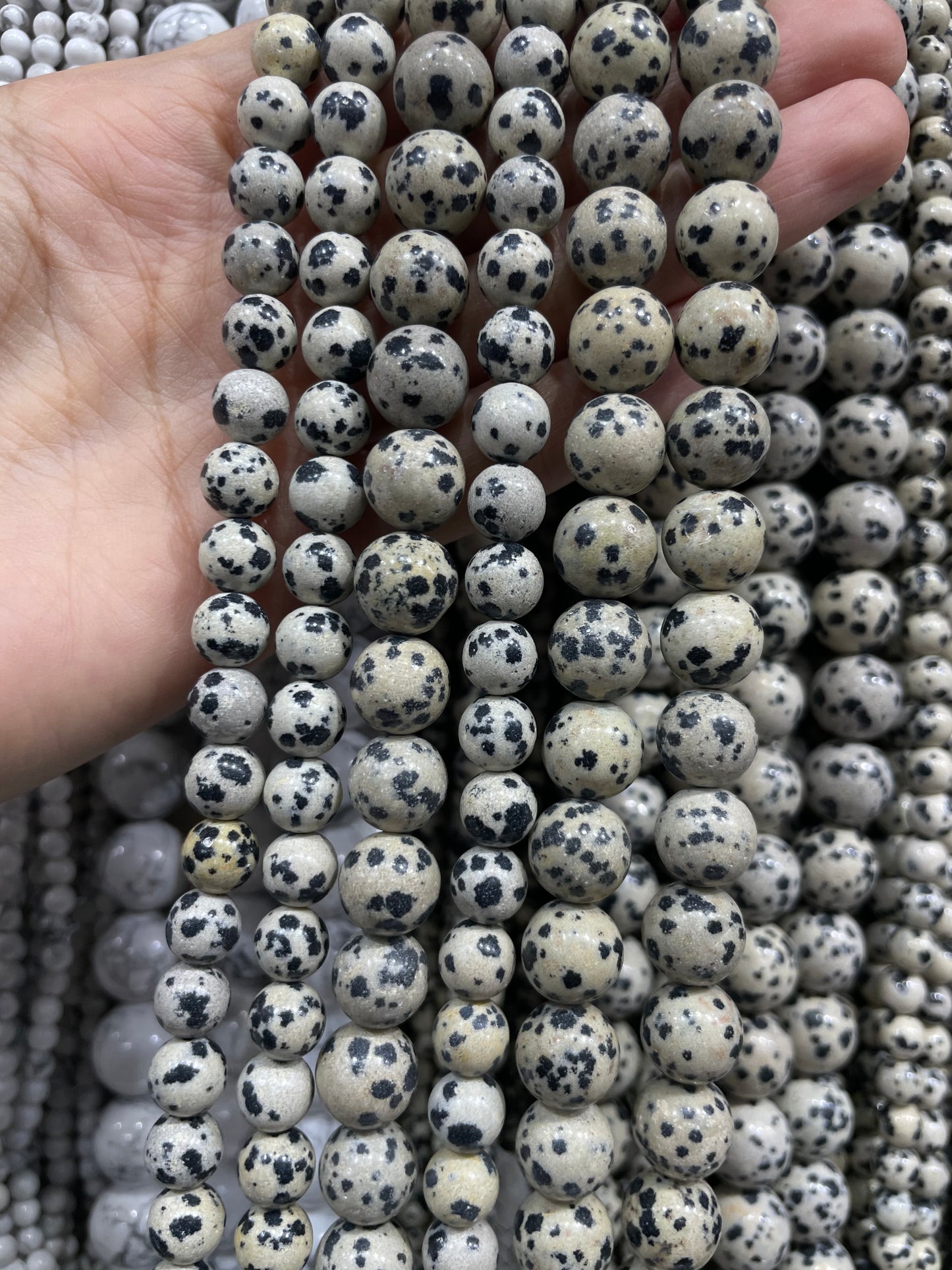natural dalmatian strand