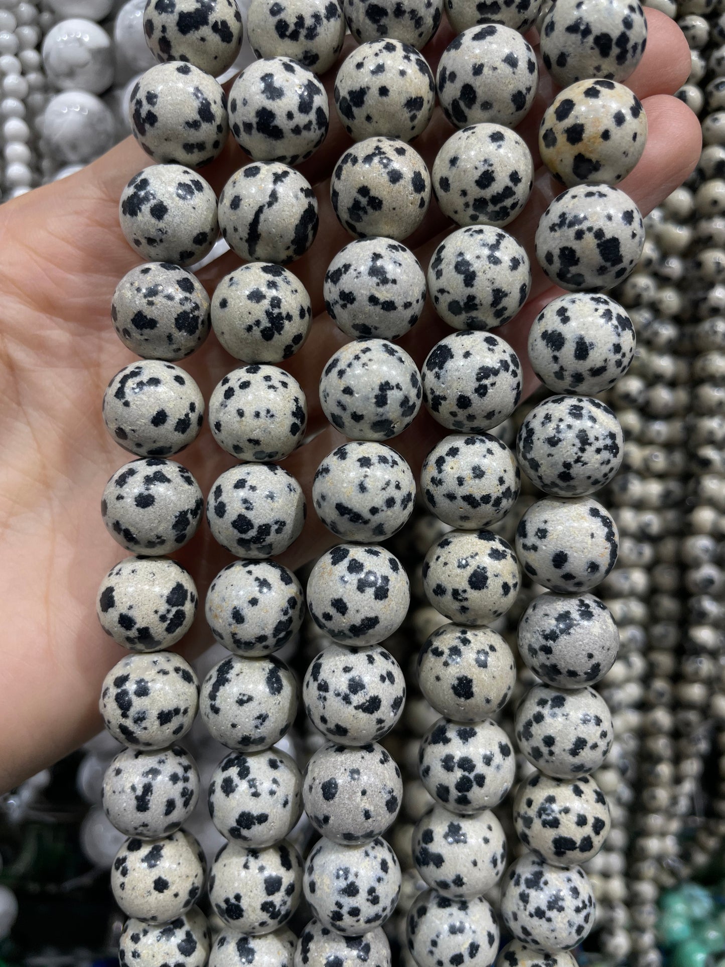 natural dalmatian strand