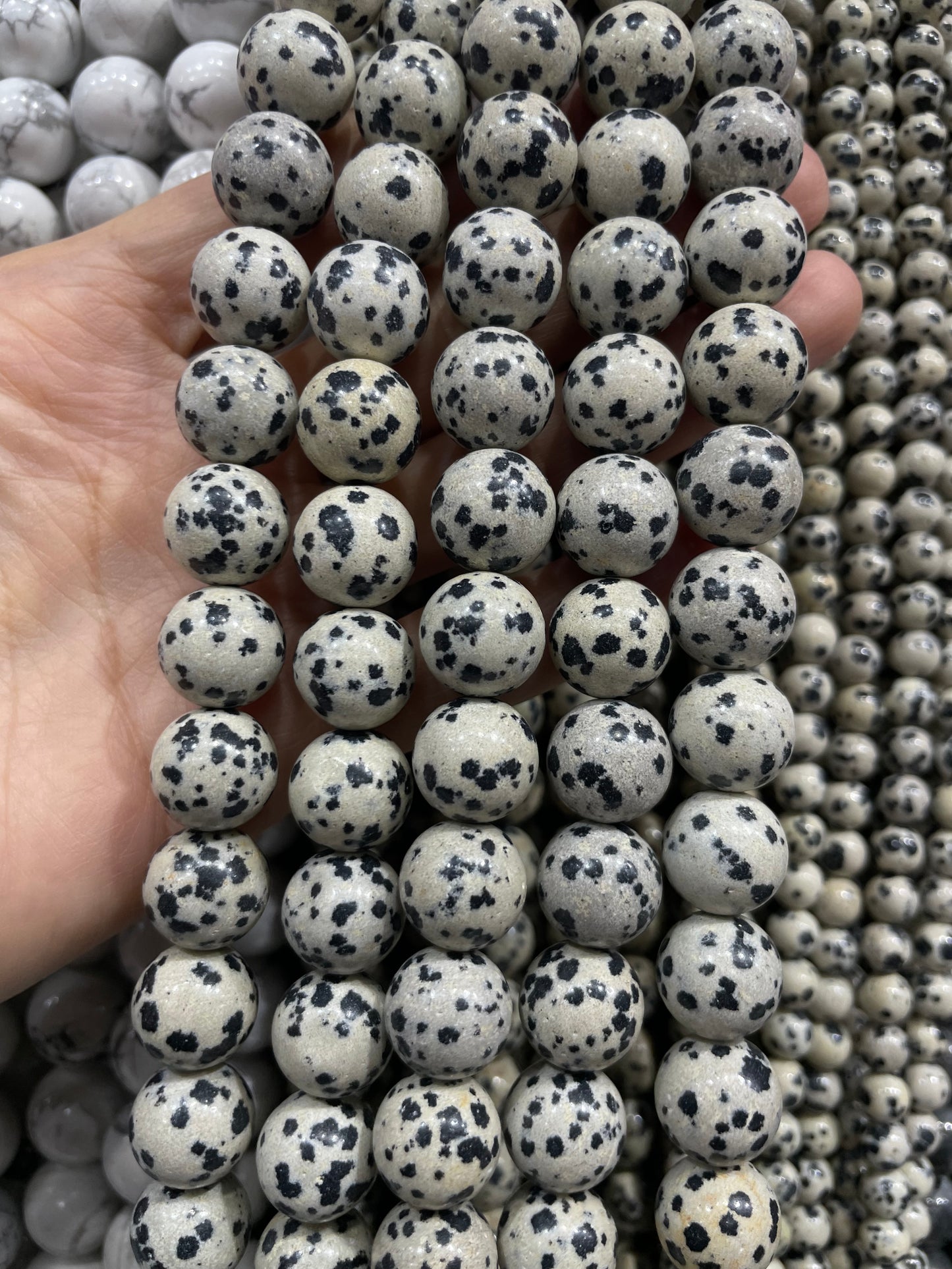natural dalmatian strand
