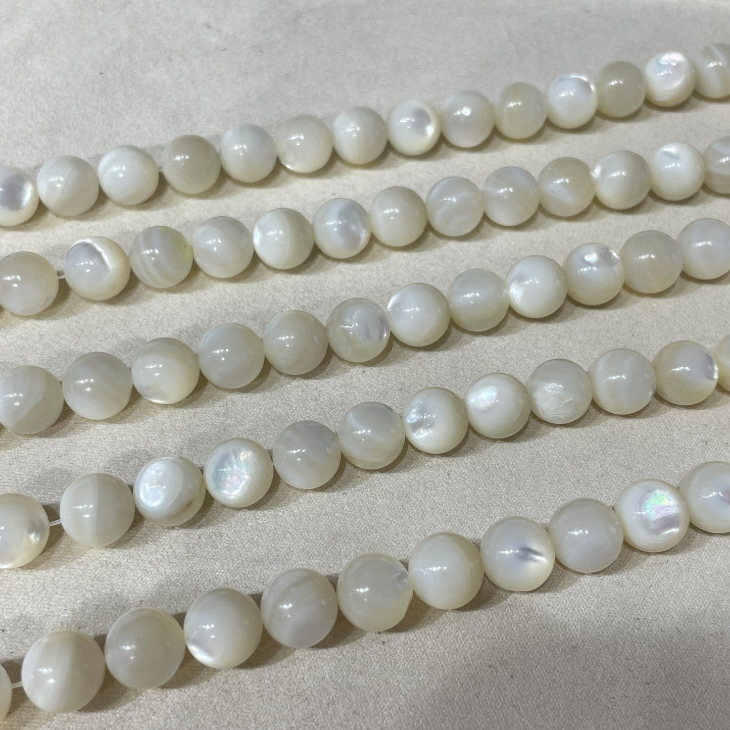 shell strands