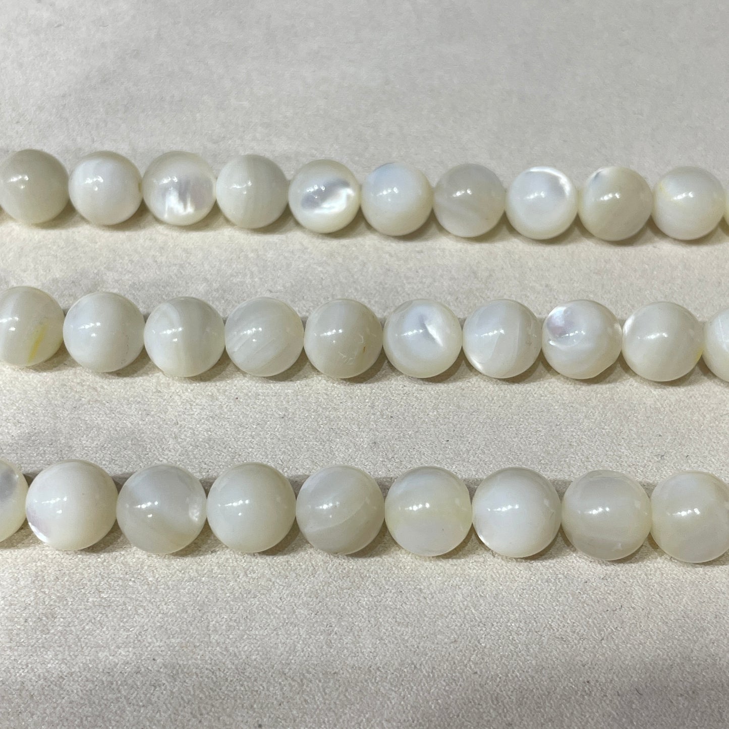 shell strands