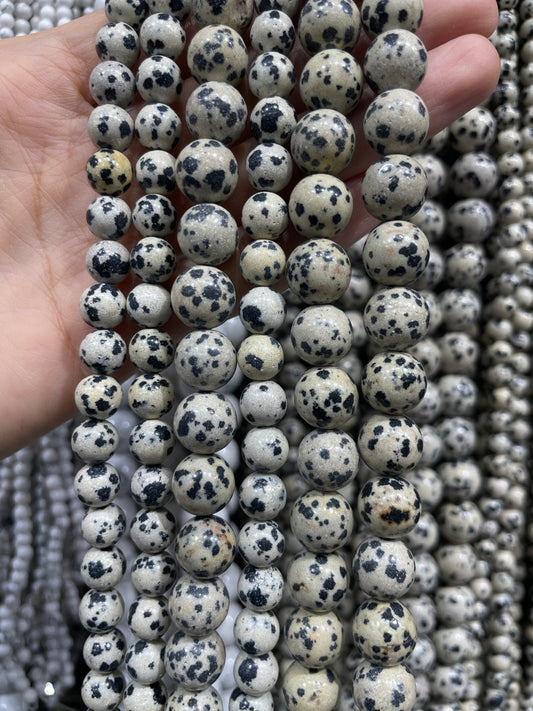 natural dalmatian strand