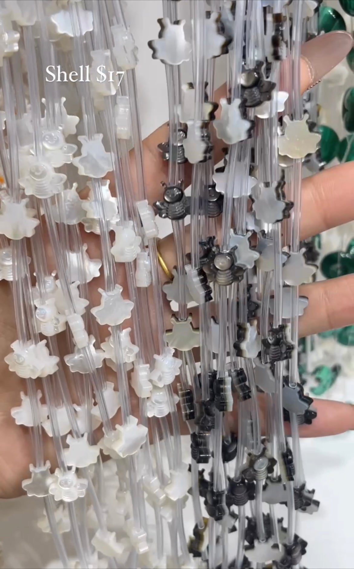 shell bee strand