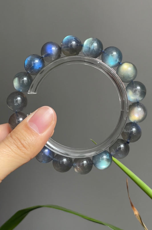 flashy lab bracelet 11.6mm