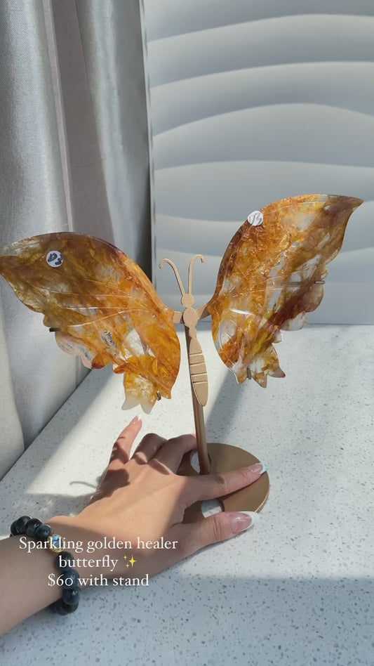Golden healer butterfly wings